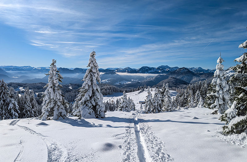 Bild der österreichischen Alpen